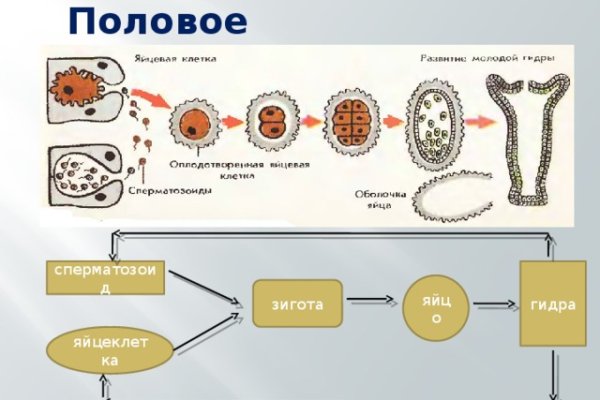 Кракен официальный сайт онион